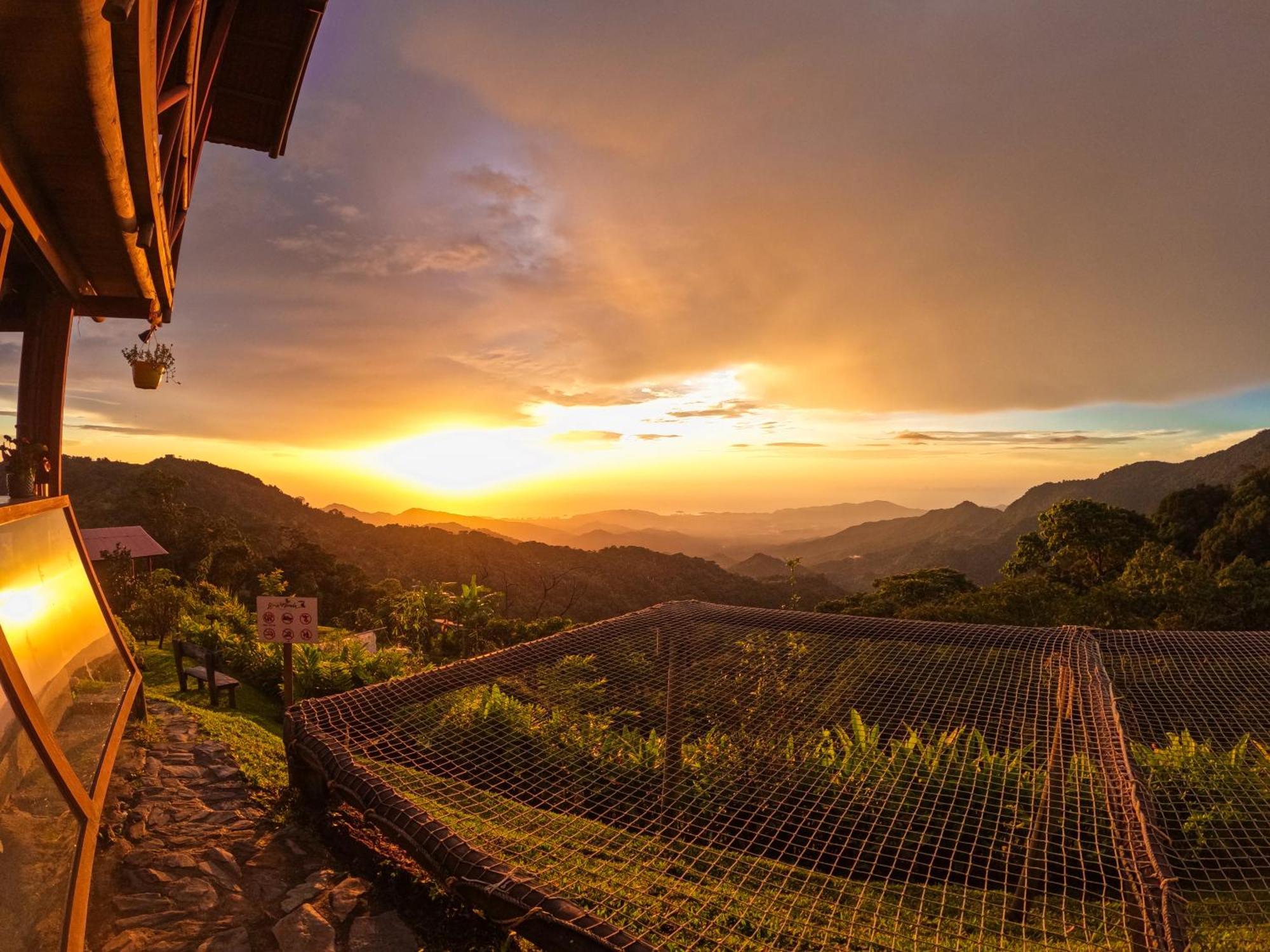 Loma Nevada Minca Hotel ภายนอก รูปภาพ